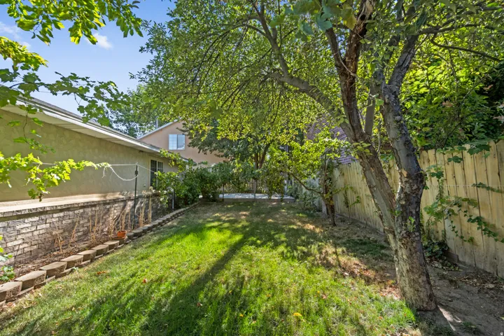 Expansive backyard featuring a manicured lawn, mature trees, and a wooden privacy fence
