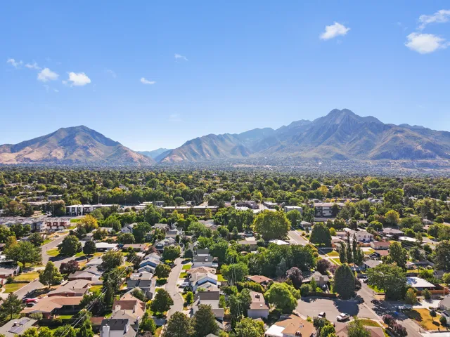 Mountain backdrop and expansive tree-lined neighborhood