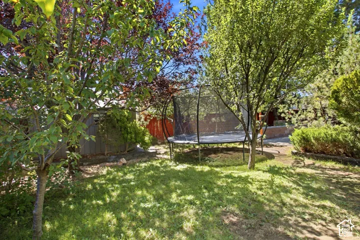Grassed yard area featuring mature trees and a storage shed