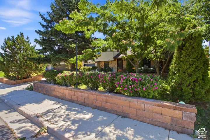 Landscaped front yard featuring mature trees, diverse shrubs, and flowering plants