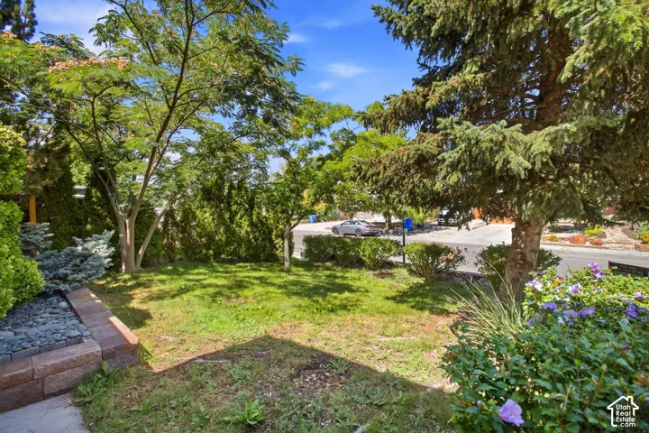 Expansive front yard featuring mature trees, established shrubbery, and a decorative stone retaining wall