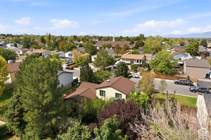Residential neighborhood with mature trees and paved streets