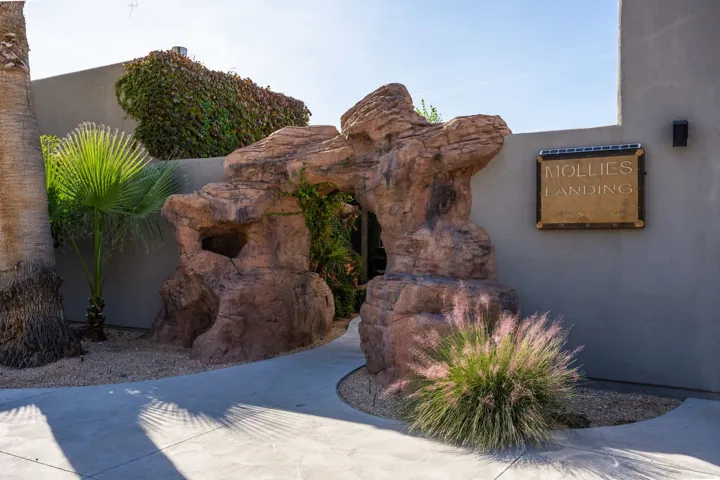 Curved concrete pathway, artificial rock archway, mature palm tree, wall-mounted exterior lighting, and a wall-mounted sign