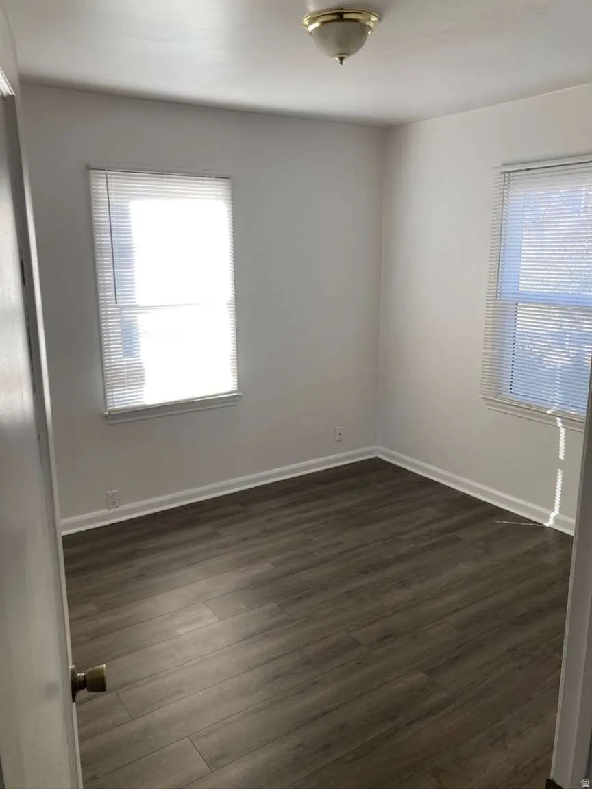 Light-filled room featuring two windows with blinds, a ceiling-mounted light fixture, and wood-finish flooring