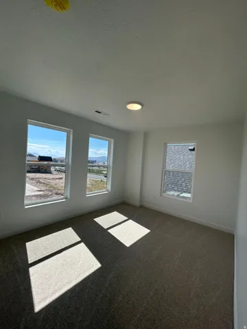 Spacious room featuring three windows, a neutral carpet, white painted walls, and a flush-mount ceiling light