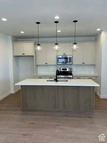 Kitchen featuring an island with a built-in sink, stainless steel appliances, wood-finish flooring, and recessed lighting