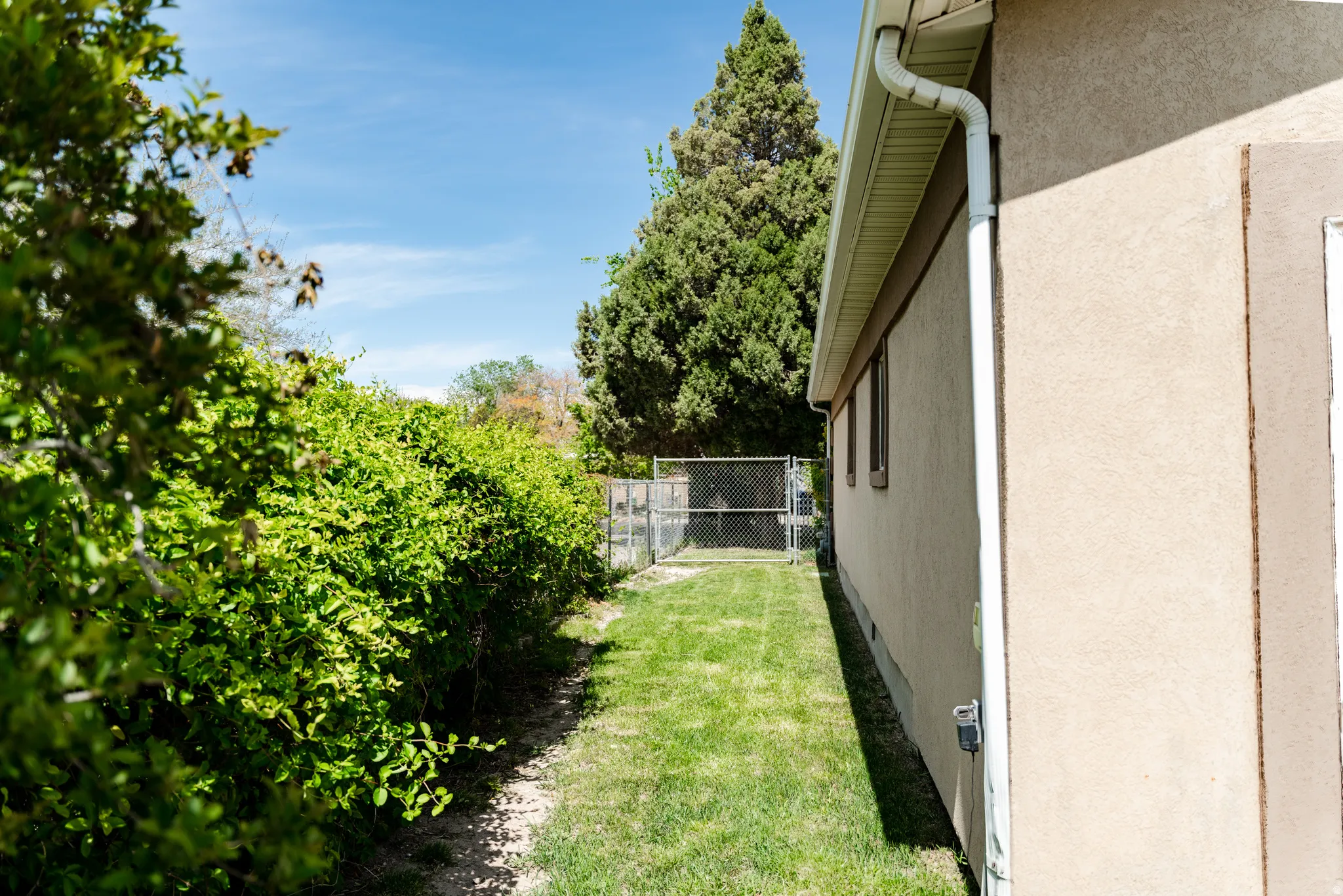 Side yard featuring stucco siding, multiple windows, a white rain gutter, and a chain-link fence