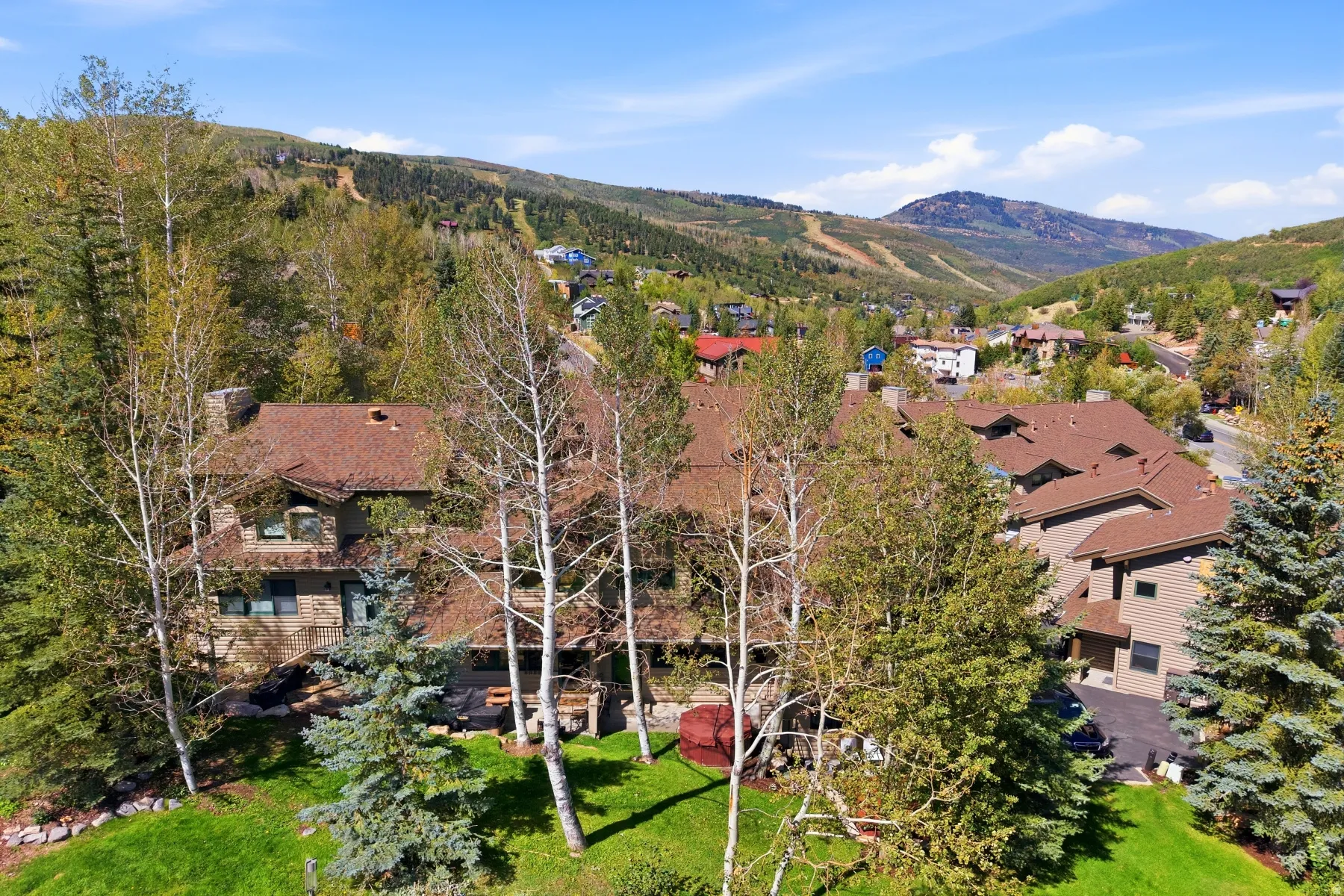 Expansive property featuring a brown shingle roof, stone and wood-finish siding, and mature evergreen trees