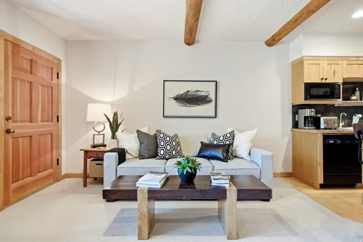 Exposed ceiling beams, natural wood door, integrated kitchenette, light-toned wall finishes, and carpeted flooring