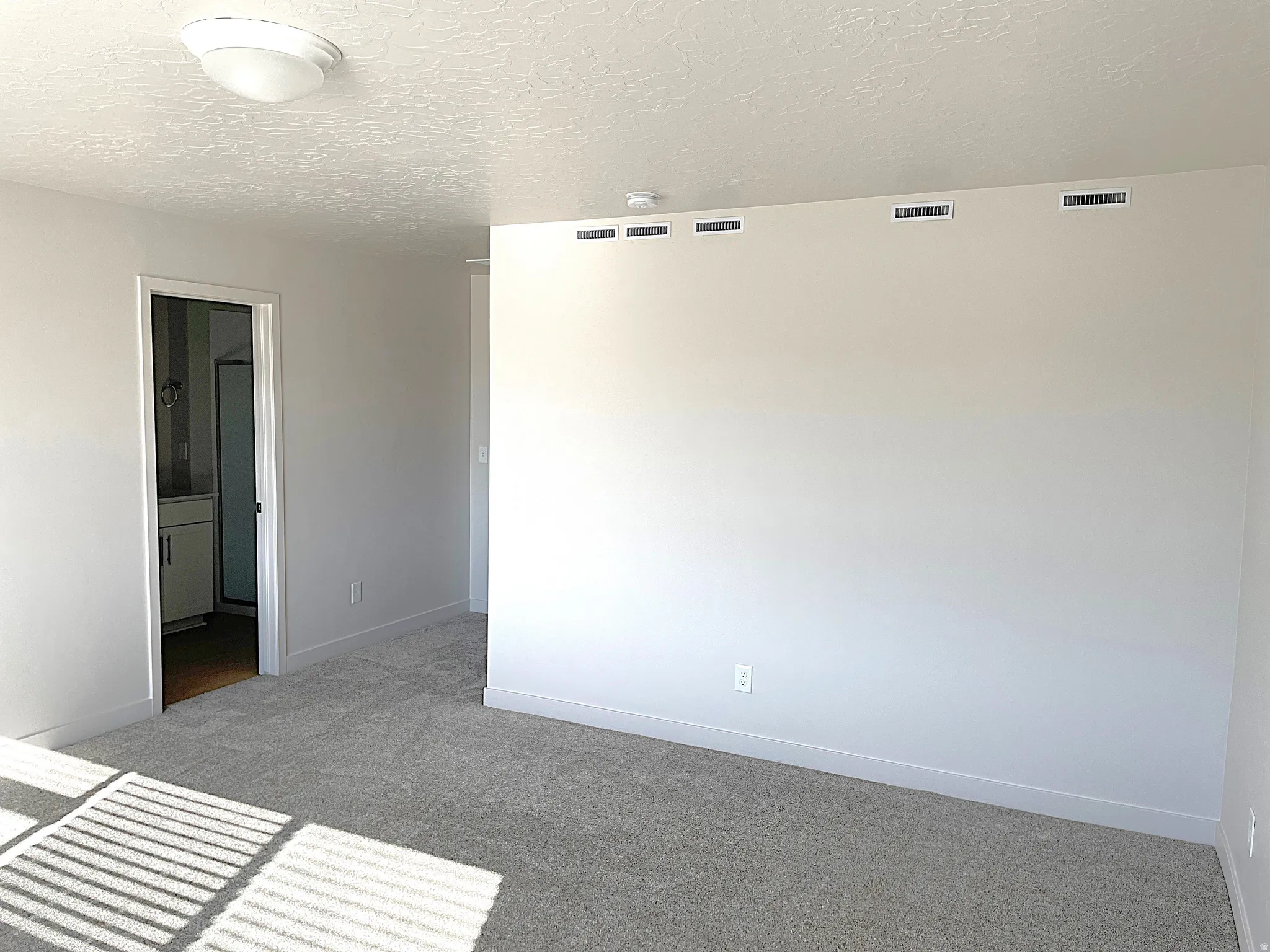Plush gray carpeting, white walls, white trim, and ceiling-mounted light fixture