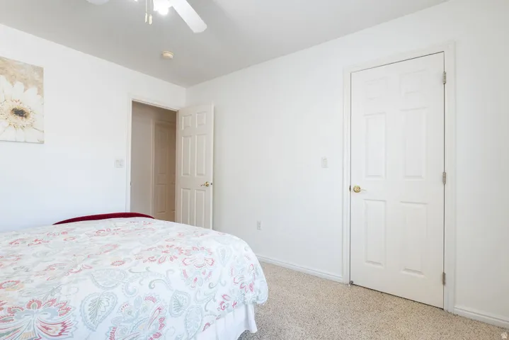 Carpeted flooring, white six-panel door with brass hardware, and a ceiling fan