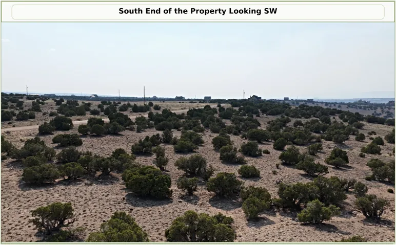 Expansive open terrain with scattered green foliage