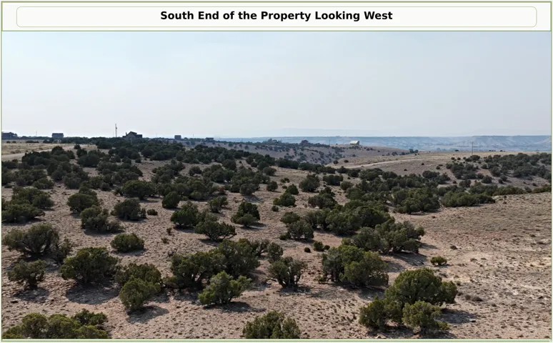 Expansive land featuring natural brush and distant structures
