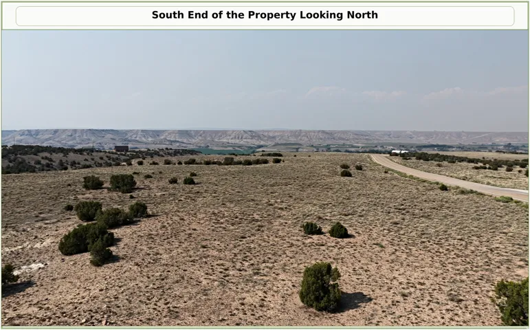 Expansive arid terrain with sparse green foliage and a distant paved road