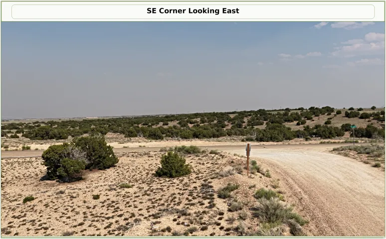 Expansive undeveloped land featuring natural desert vegetation, a visible dirt road, and clear skies