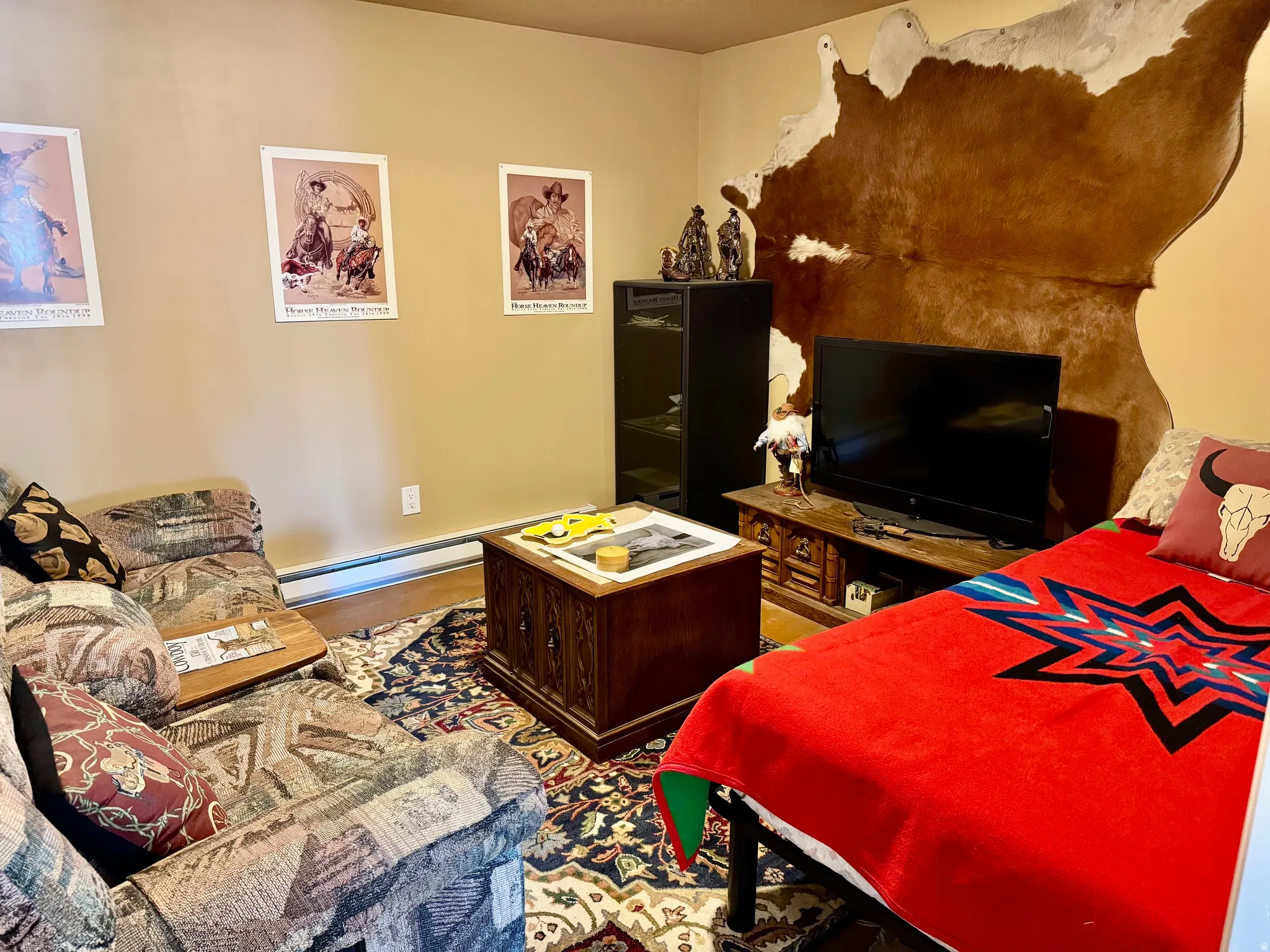 Lower level media-room/den