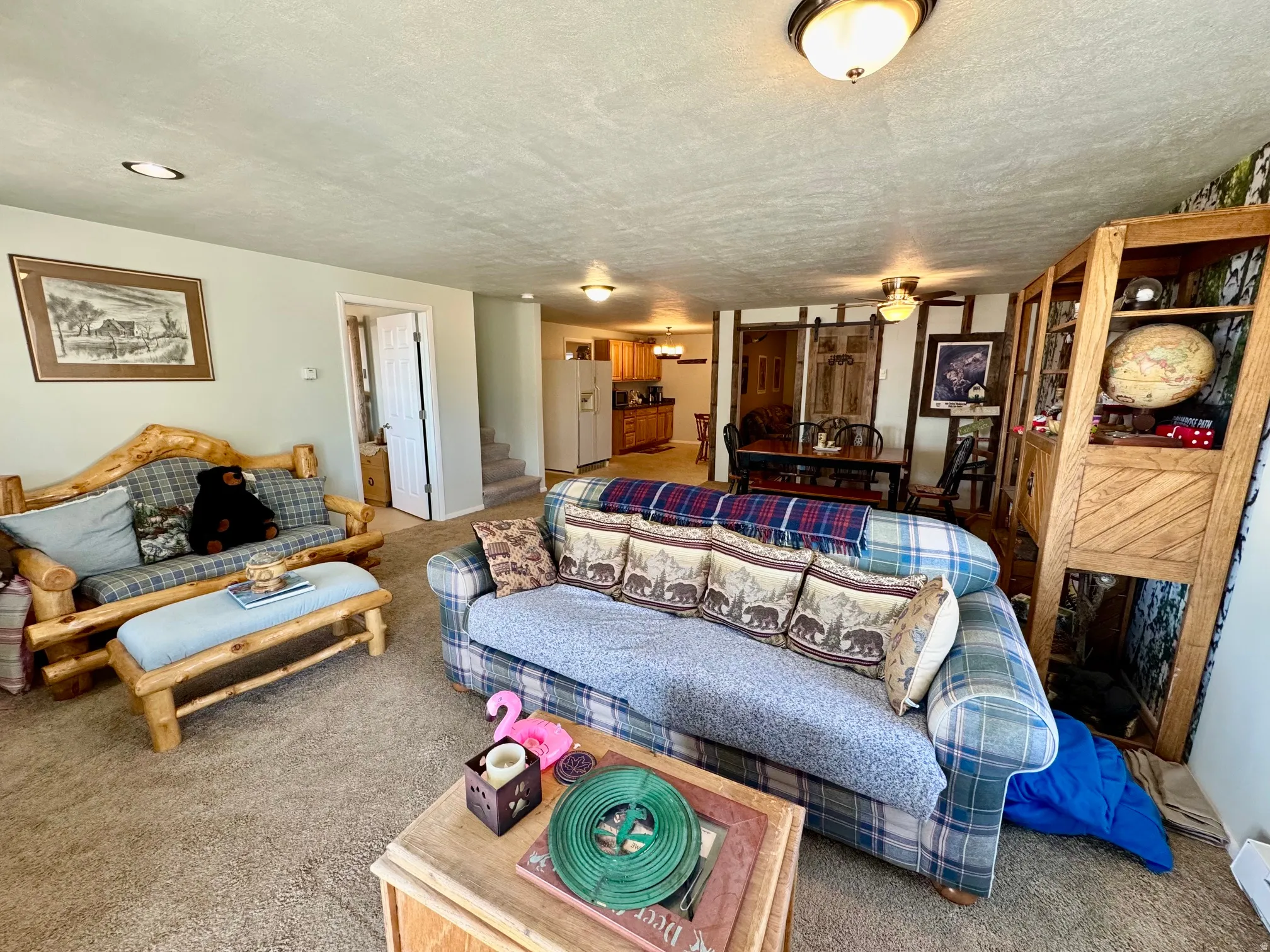 Lower level living area