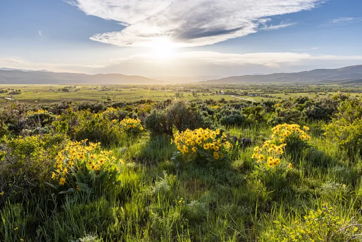 Expansive natural landscape with varied foliage and distant mountain ranges