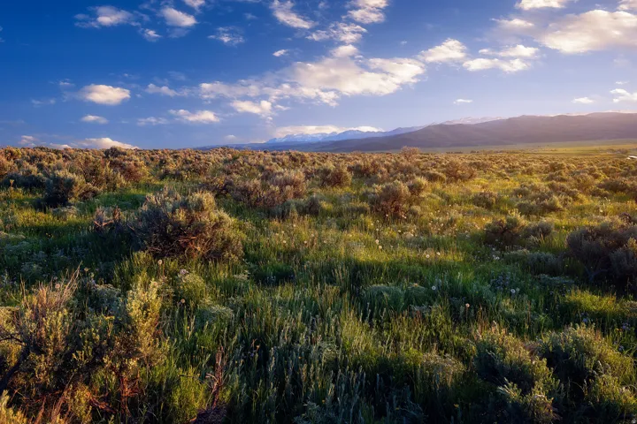 Expansive land offering natural terrain and distant mountain ranges