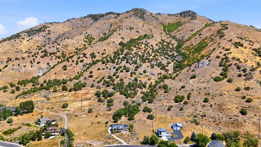 Mountainous backdrop with natural landscaping