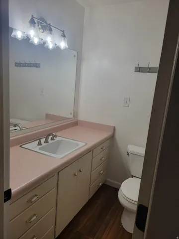Vanity with an integrated sink and base cabinetry, wood-finish flooring, wall-mounted vanity lighting, and a wall mirror