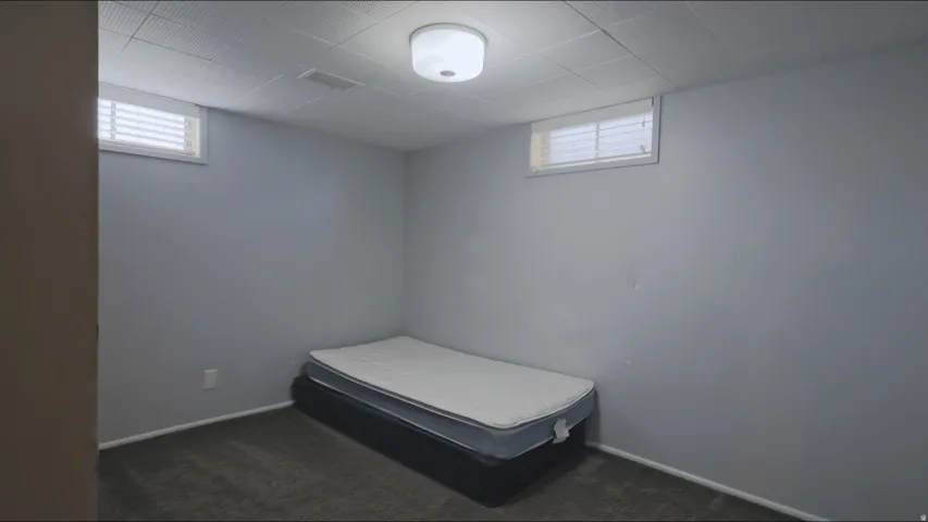 Recessed ceiling tiles, flush-mount ceiling light fixture, two windows with horizontal blinds, and dark carpet flooring