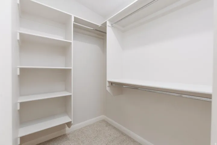 Built-in shelving, hanging rods, and carpet flooring within the closet space