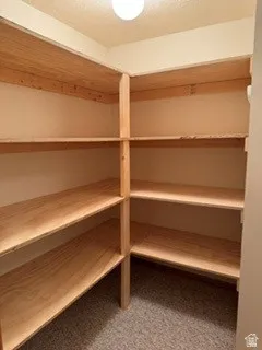 Built-in wooden shelving for ample storage