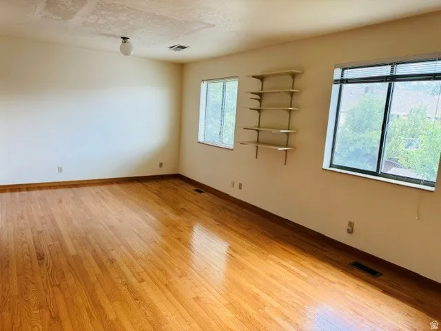 Wood-finish flooring, multiple windows providing natural illumination, built-in shelving, and a ceiling-mounted light fixture
