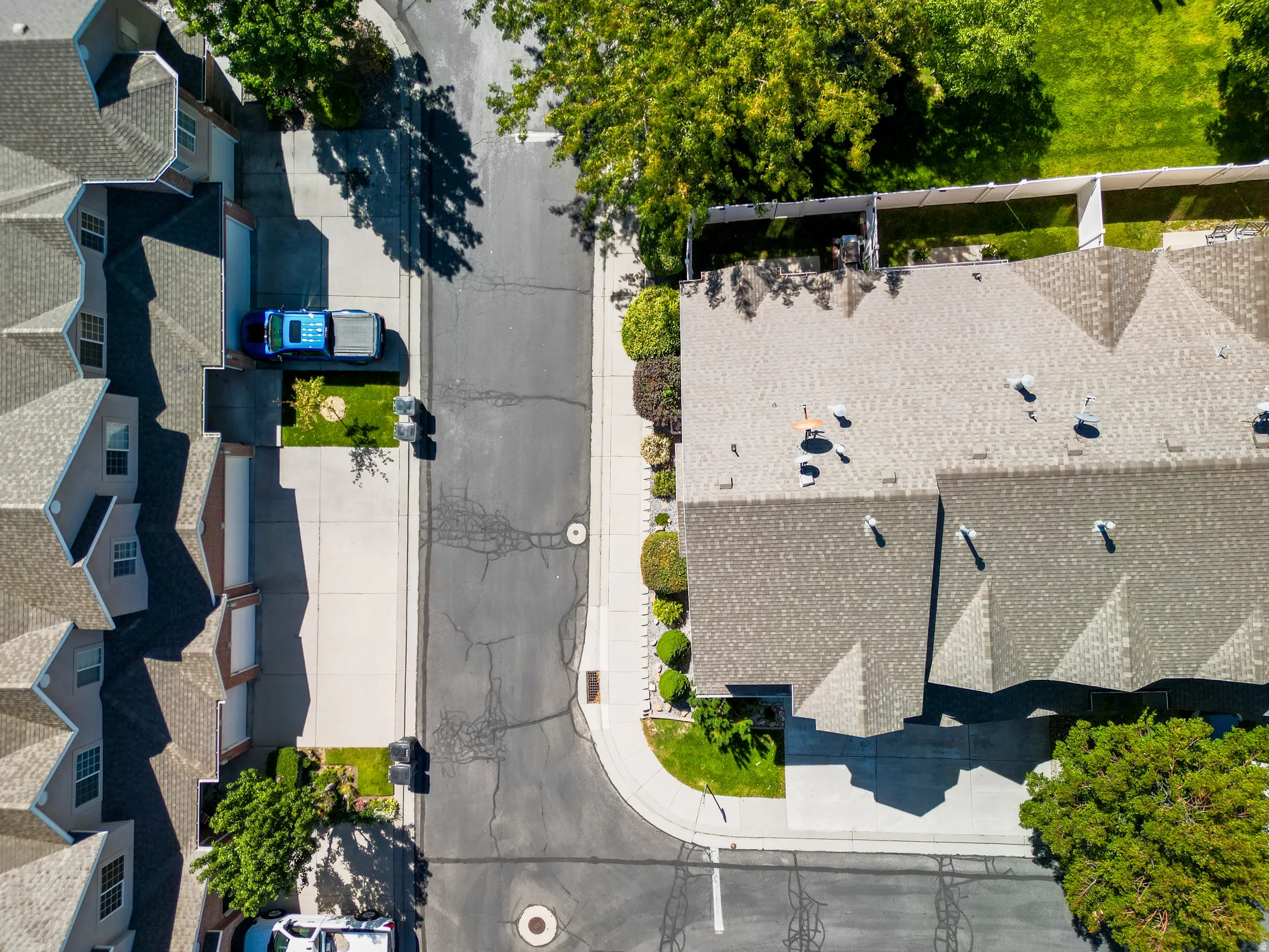Pitched shingle rooftops and mature trees