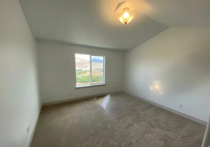 Neutral wall finishes, a window with a mountain backdrop, carpeted flooring, and a ceiling-mounted light fixture