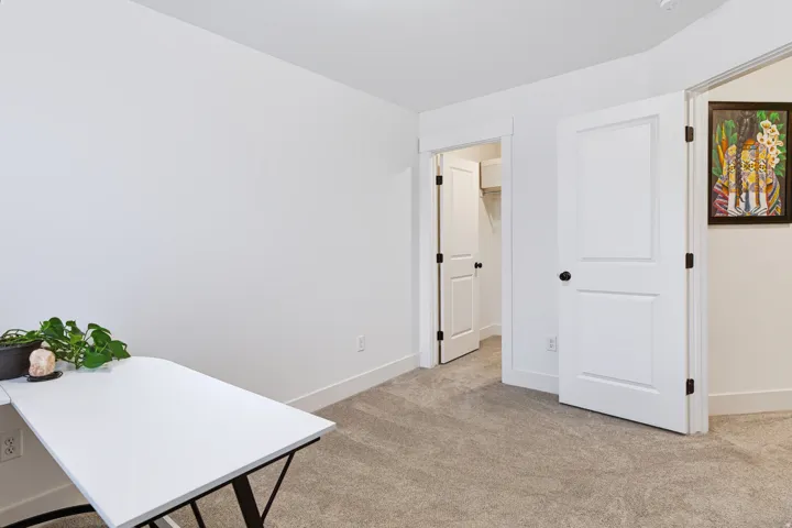 Plush carpeting, white walls, and bright white trim