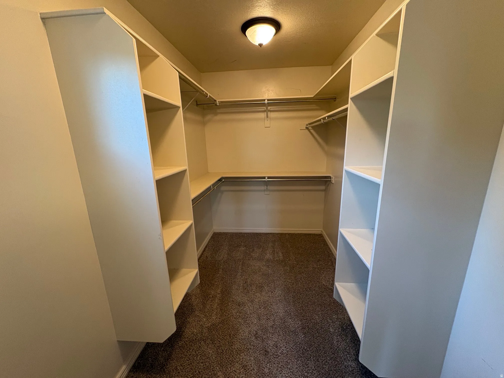 Walk-in closet featuring extensive built-in shelving, multiple hanging rods, and carpet flooring