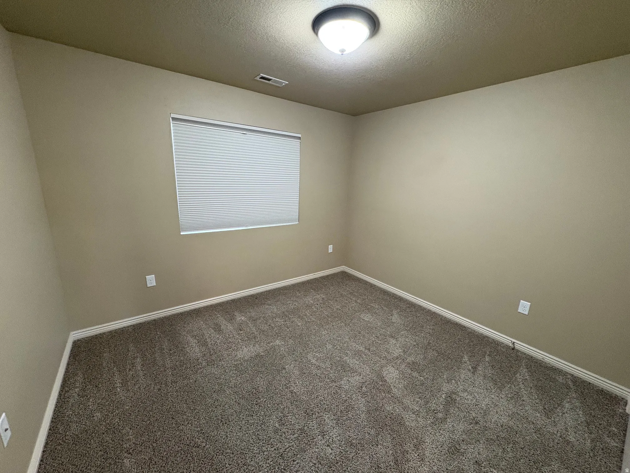 Neutral-toned walls complement the textured carpet flooring