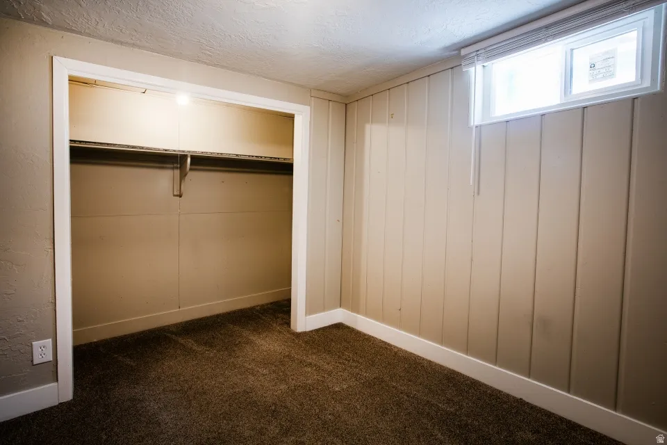 Textured wall finish, carpet flooring, window with blinds, paneling wall, recessed closet with shelving