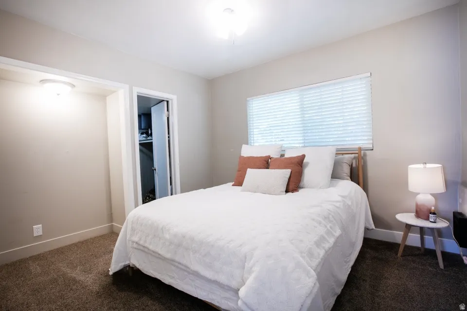 Neutral-toned wall paint, horizontal window blinds, plush carpet flooring, recessed closet with interior lighting, and a flush-mount ceiling light