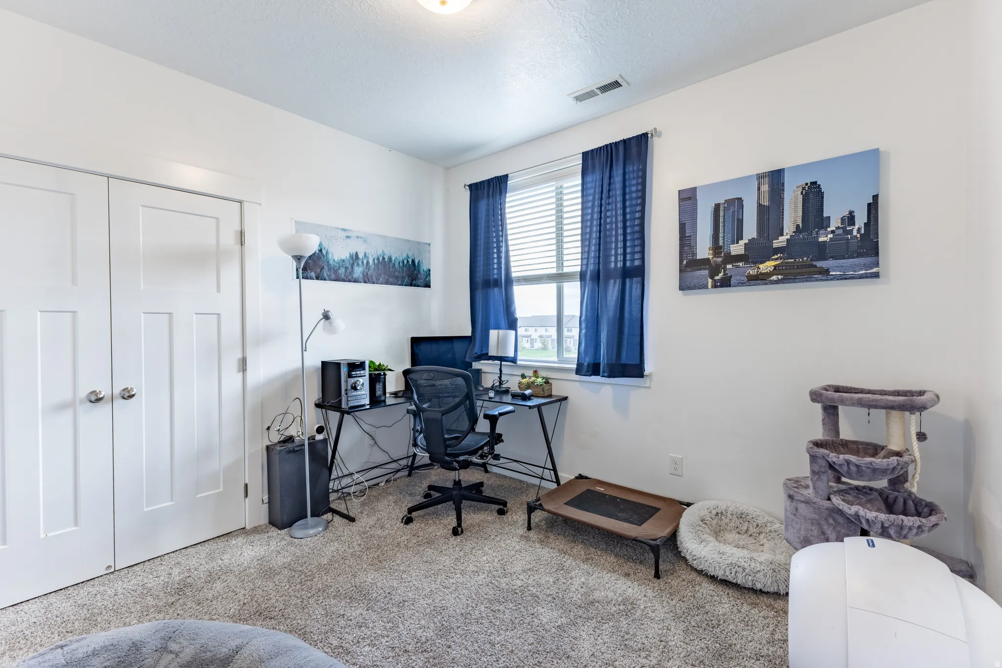 Plush carpet flooring, white walls, and a window with blinds and blue curtains
