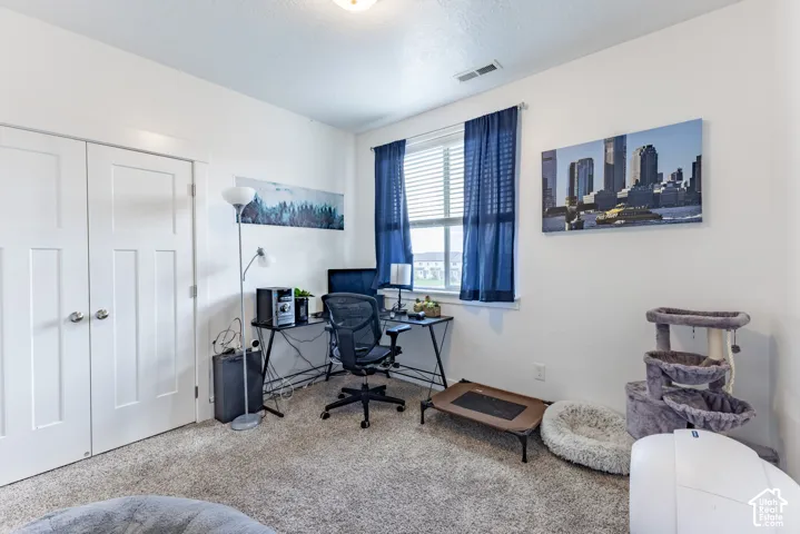 Plush carpet flooring, white walls, and a window with blinds and blue curtains