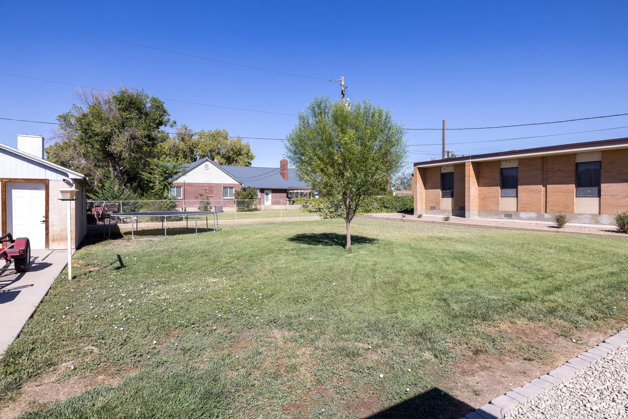 Expansive green lawn with a young tree, concrete pathway, and a detached structure with a white door