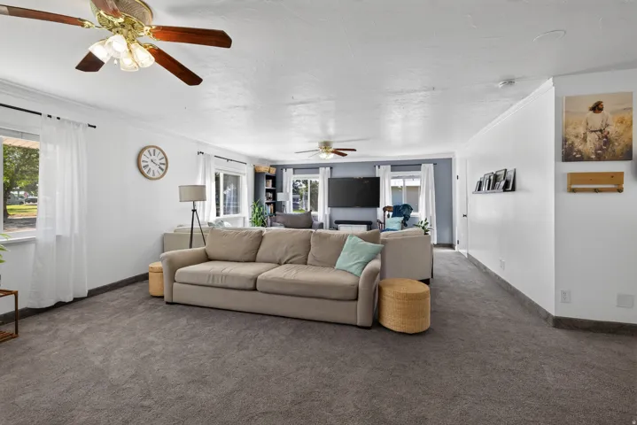 Expansive living area with gray carpeting, multiple windows, and two ceiling fans with light fixtures