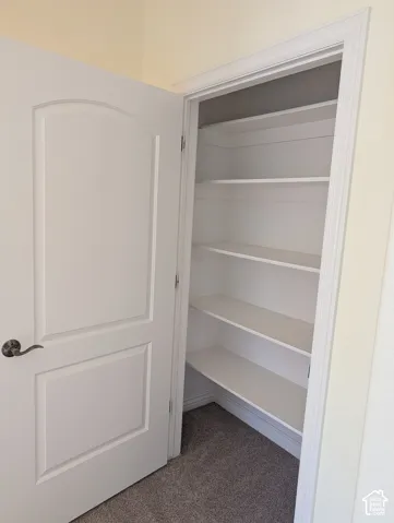 Storage space featuring multi-level built-in shelving, a neutral-toned carpeted floor, and a solid-core interior door with satin nickel hardware