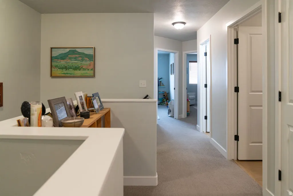 Hallway with neutral carpeting, white trim, and a flush mount ceiling light fixture