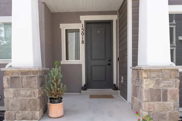Entryway featuring a dark paneled door, stone-clad columns, stucco siding, and a concrete porch