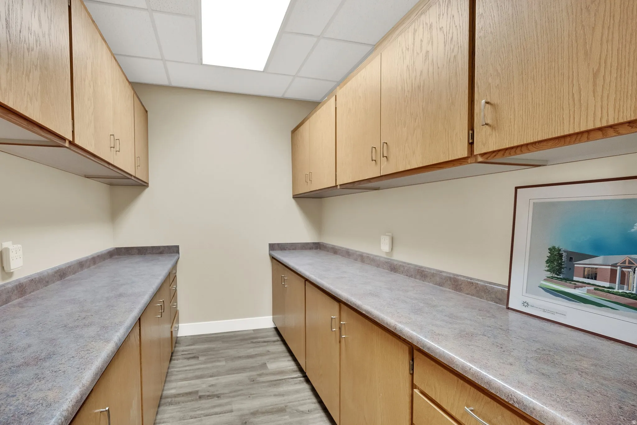 Wood-finish cabinetry, extensive countertop space, wood-finish flooring, and recessed ceiling lighting