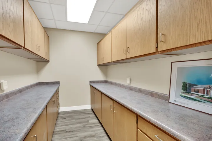 Wood-finish cabinetry, extensive countertop space, wood-finish flooring, and recessed ceiling lighting
