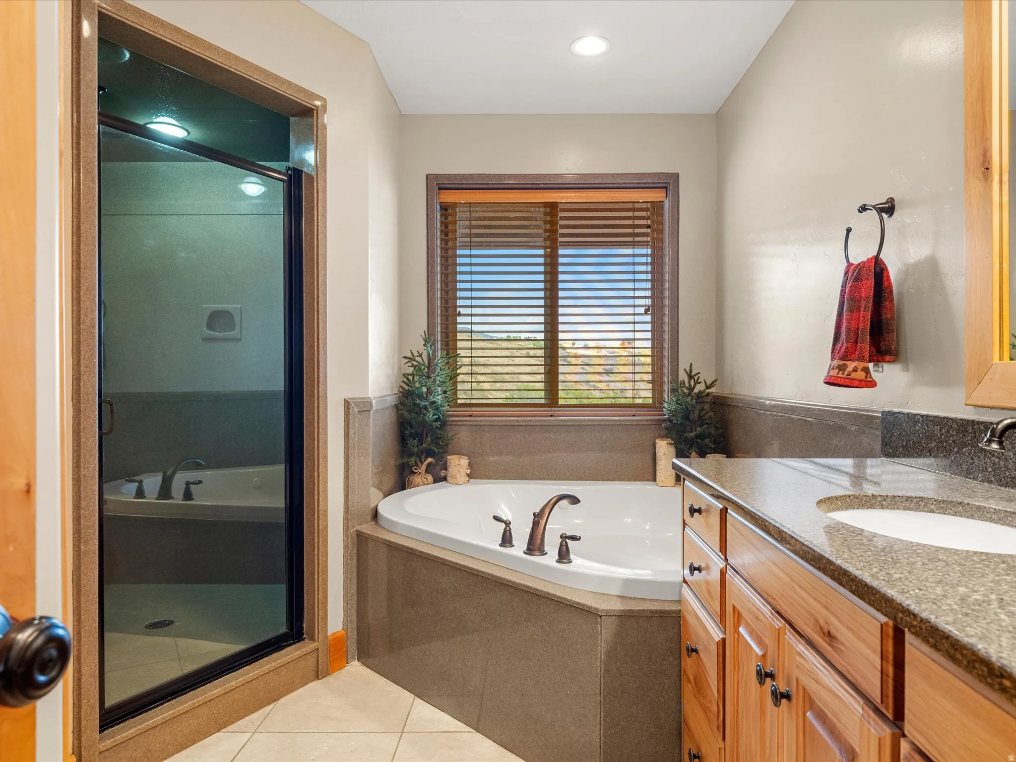 Soaking tub with bronze-finish fixtures, a separate shower enclosure, and a vanity with wood cabinetry and stone countertops