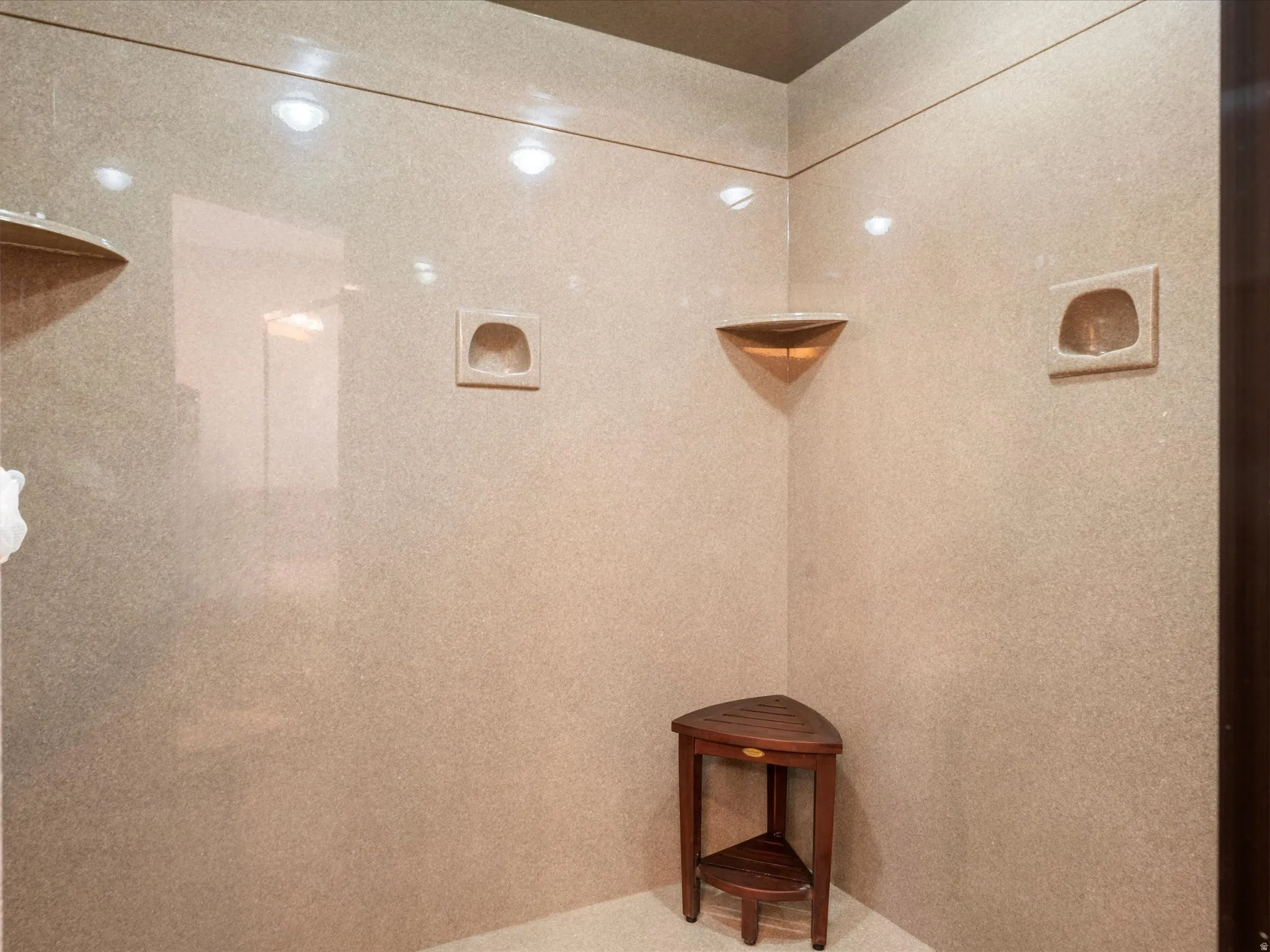 Shower enclosure with recessed lighting, integrated corner shelving, and built-in wall niches