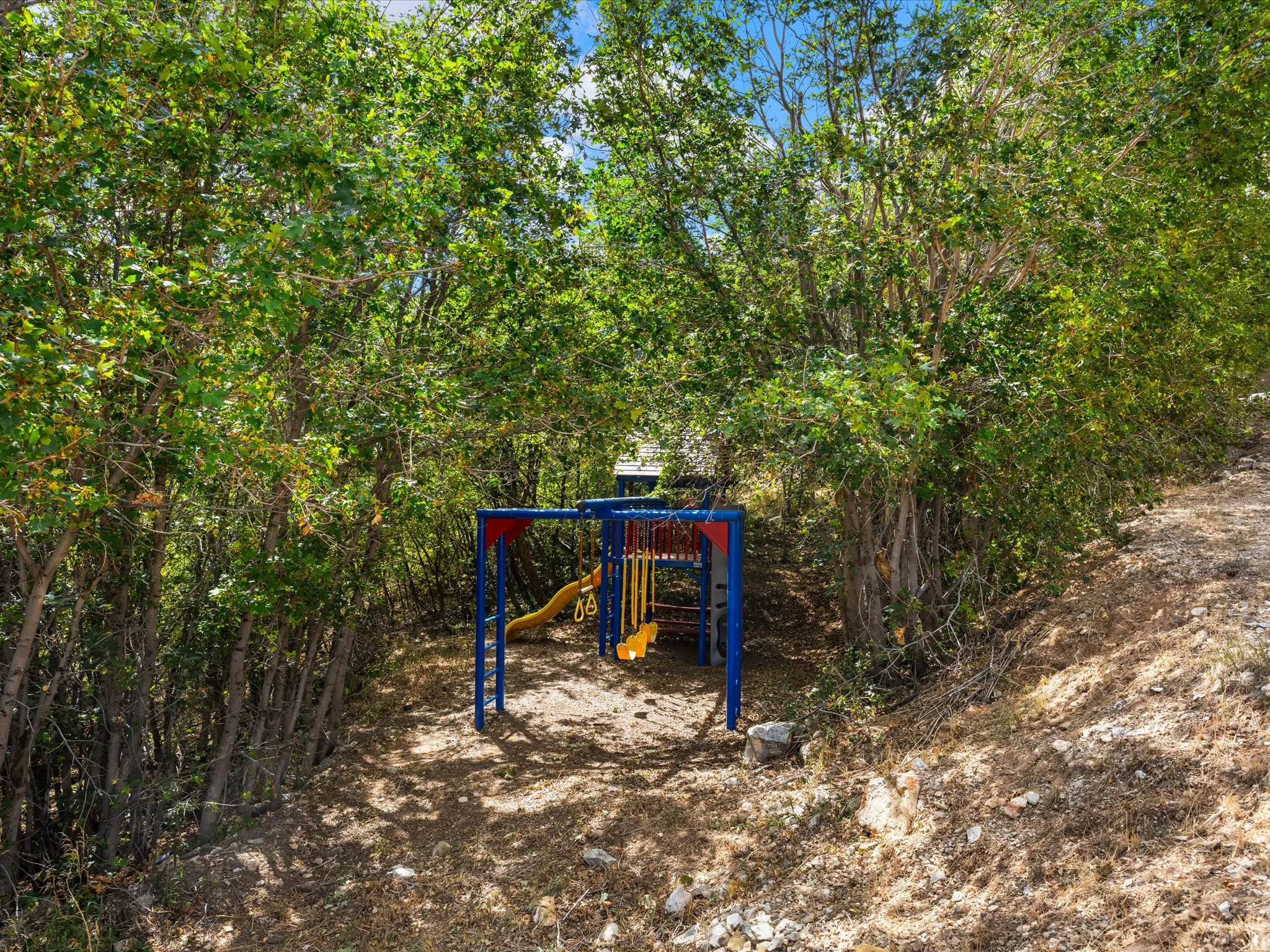 Enclosed outdoor play structure with slides and swings, surrounded by dense foliage