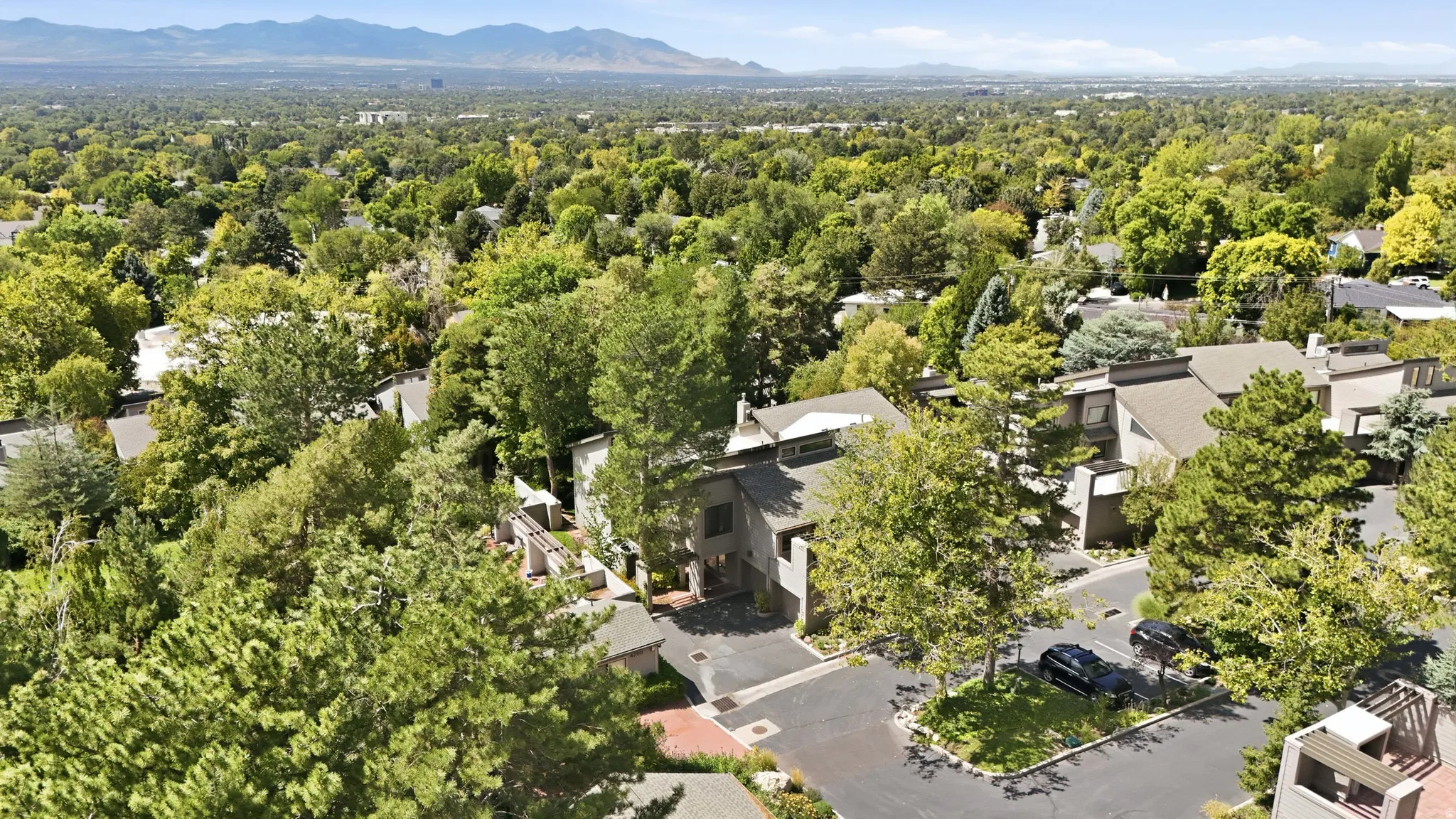 Lush tree canopy surrounding modern architectural structures