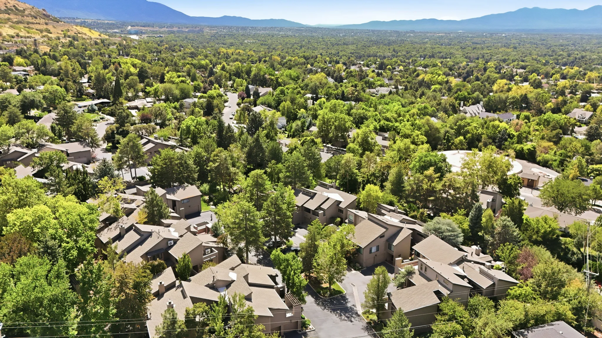 Expansive treed landscape with a backdrop of distant mountains